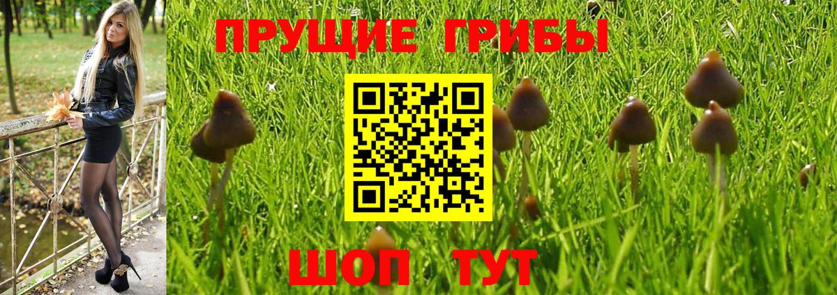Фурманов  Псилоцибиновые грибы GOLDEN TEACHER  Вход с VPN 